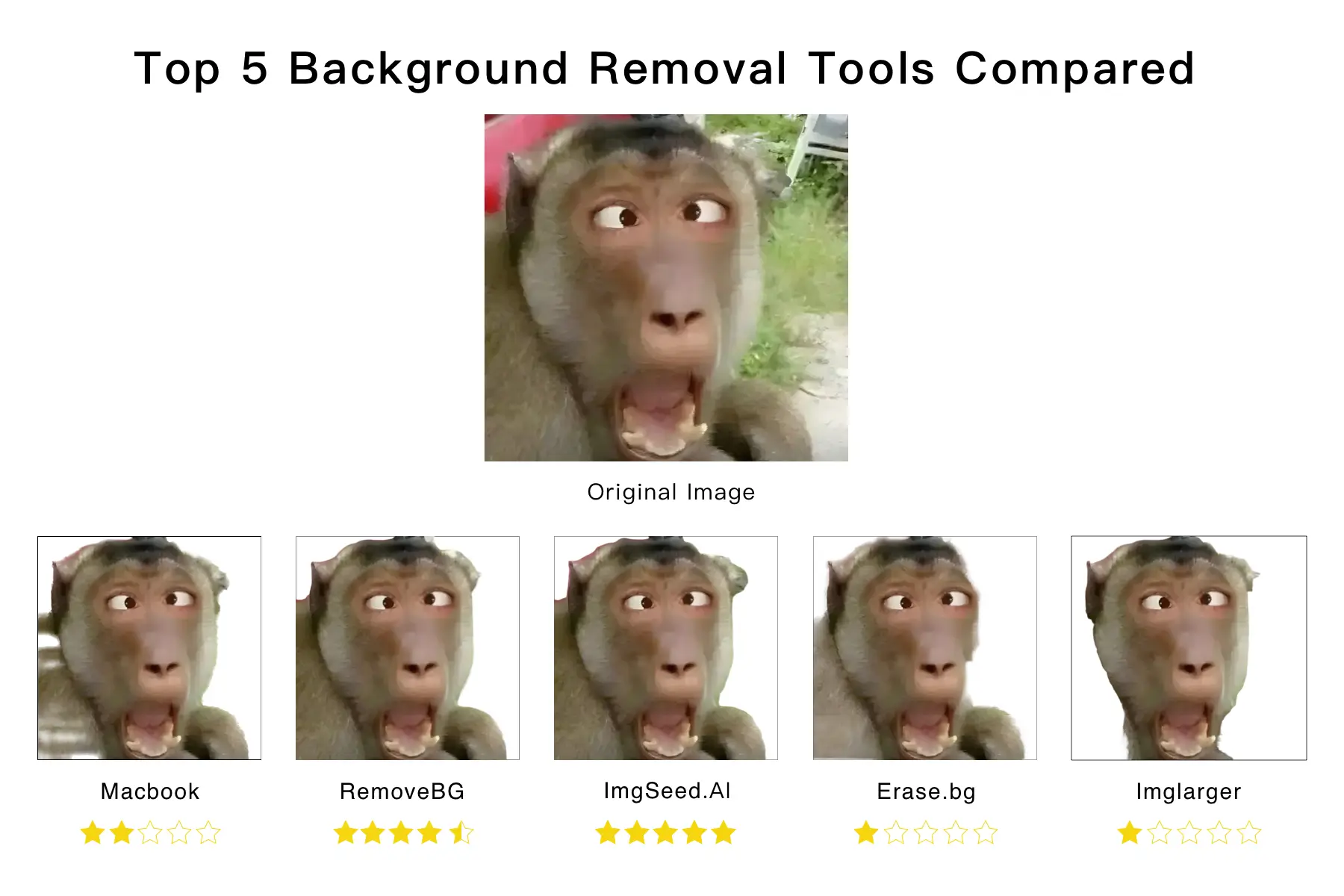 1-Top 5 Background Removal Tools Compared.webp