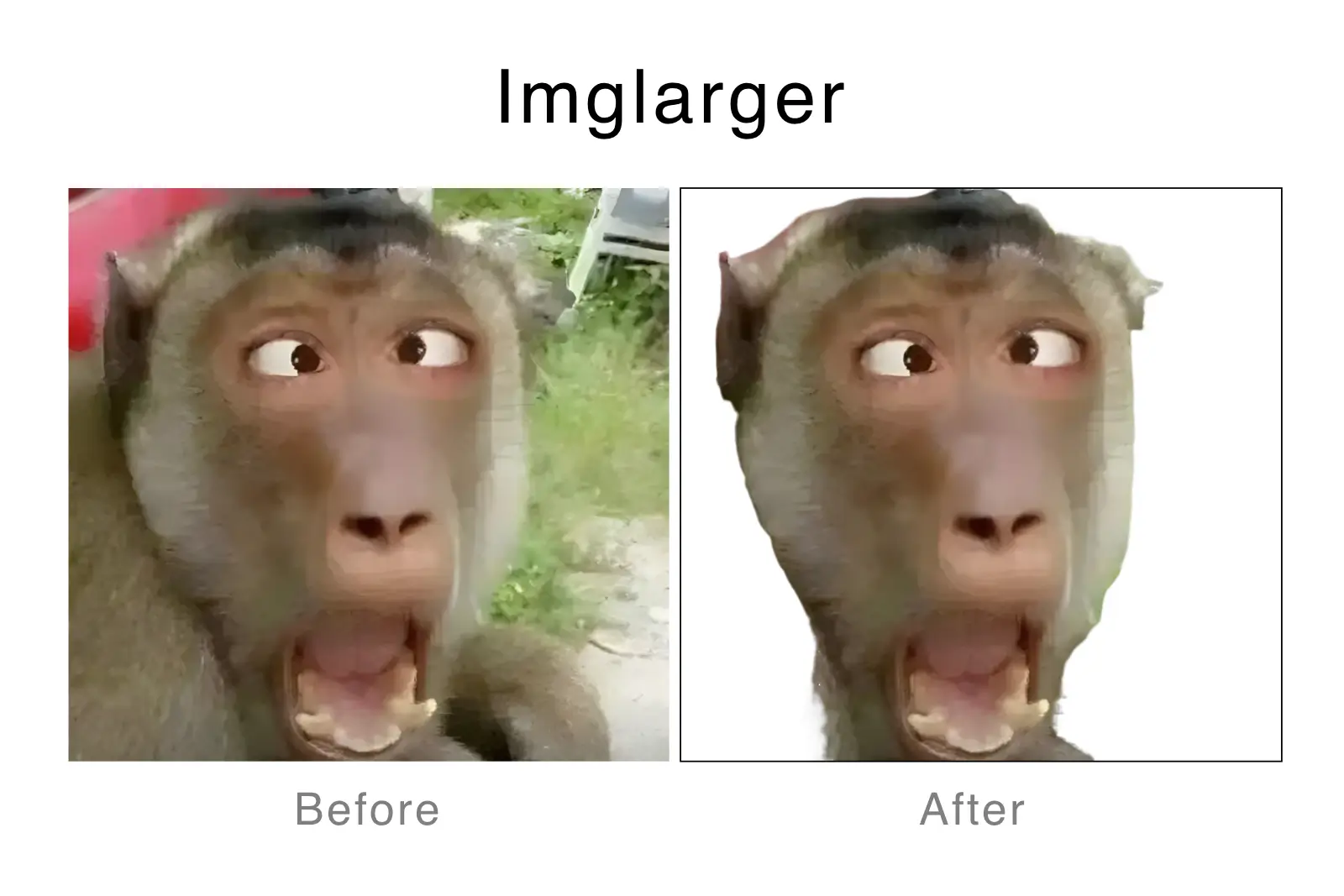 9-Imglager remove bg - a menkey.webp